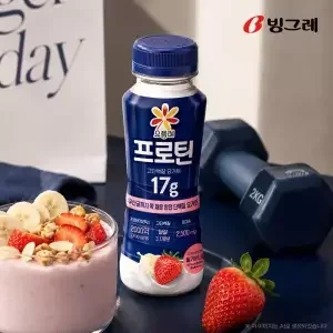 요플레 프로틴 플레인