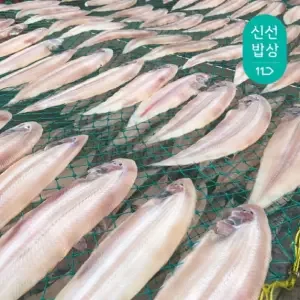 반건조 박대